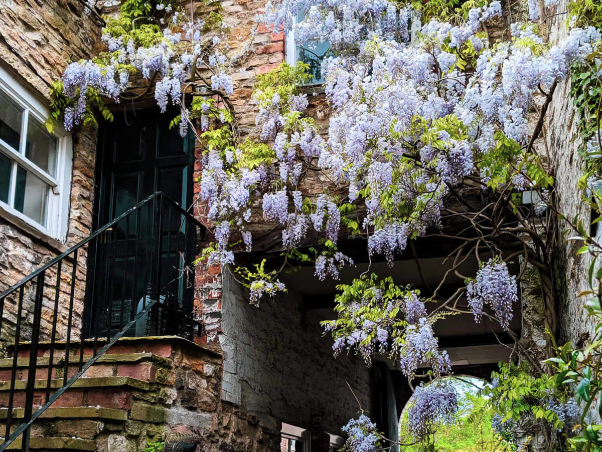 Composite Doors Wetherby